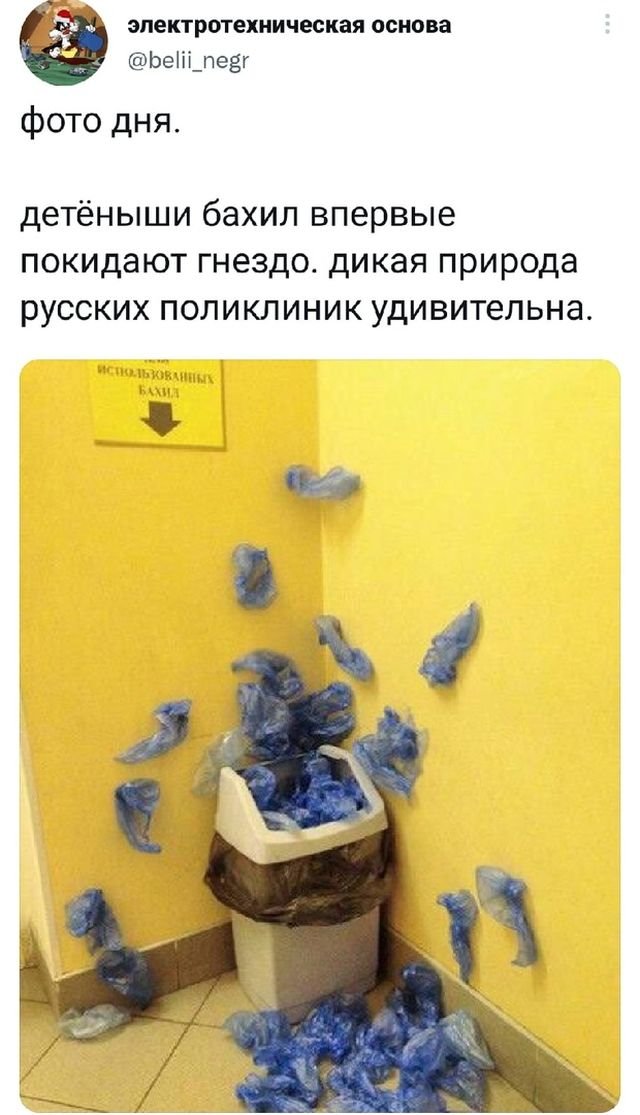 Так себе картинки 14.12.21