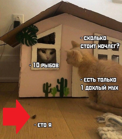 Это я