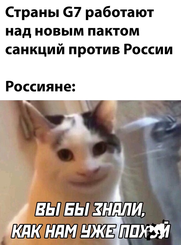 Весёлый полтишок 14.03