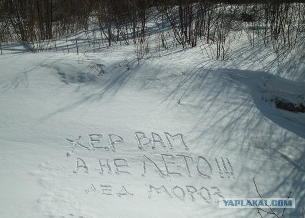 А вот и первая контрсанкция