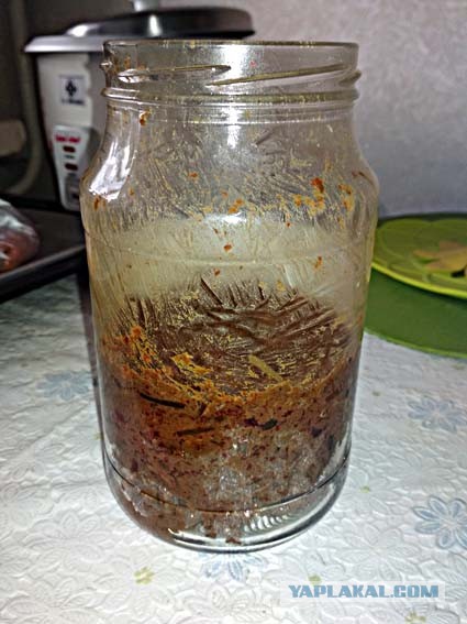 Десять самых отвратительных продуктов, которые едят люди ‒ гастрономический мазохизм