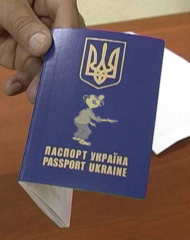 В одном жесте мы видим истинное отношение американских дипломатов, (да и всего западного мира) к нашей стране