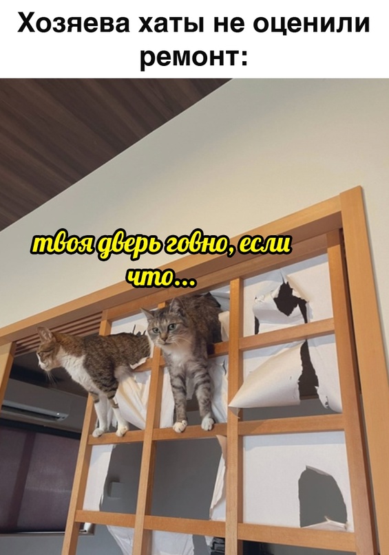 Картинки и мемы для настроения - 11