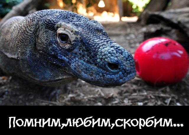 ❗️Умерла королева Великобритании Елизавета II
