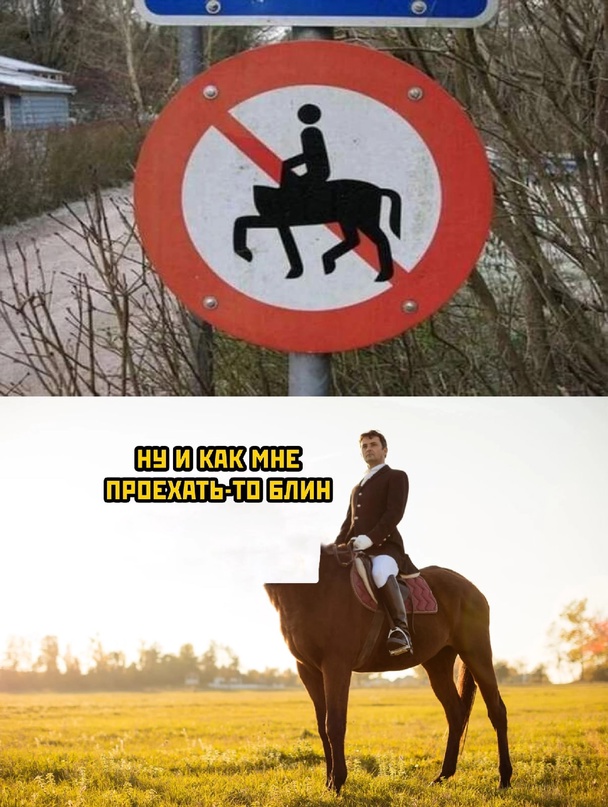 Картинки и мемы, всем хороших выходных