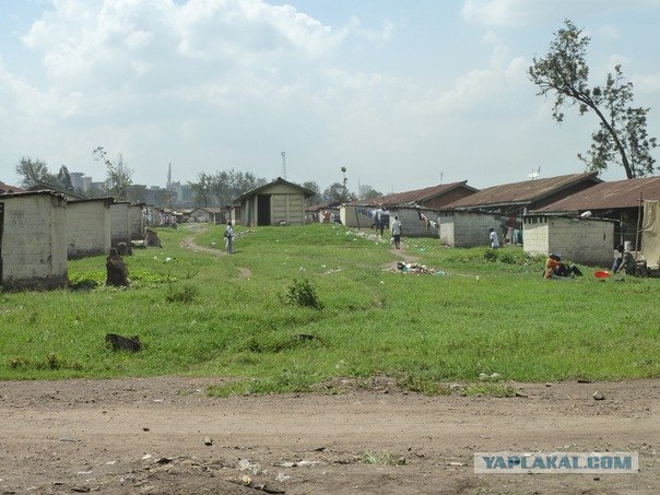 AFRICA - (Эфиопия,Кения,Танзация) 4-16 ноября 2011