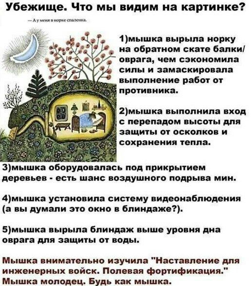 Диванные воины, а Вы всё жалуетесь.