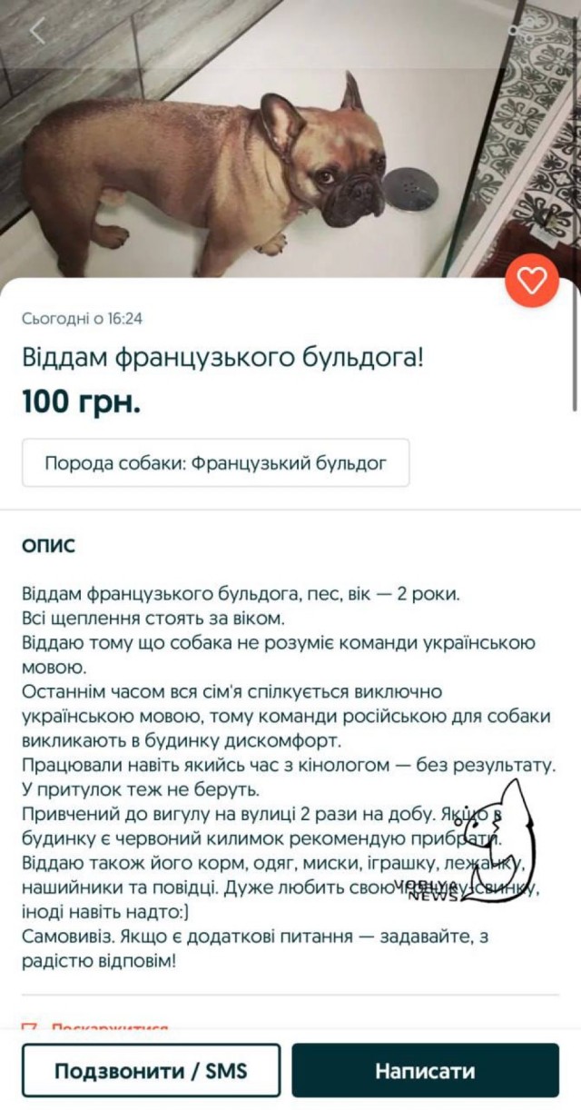 Победная поступь идиотизма по планете – том 10