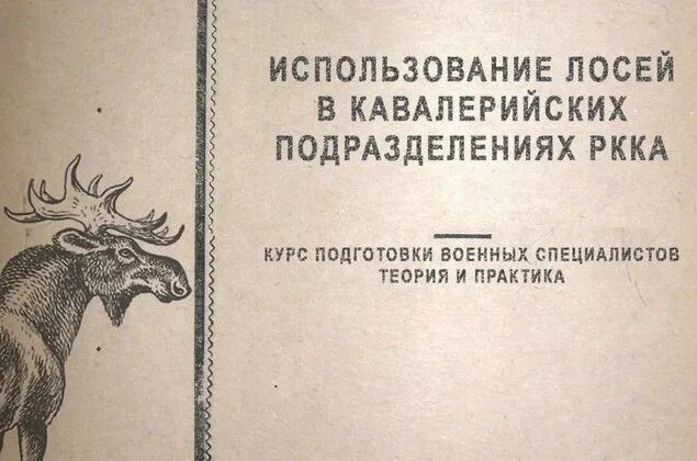 Лось , ручной типа...