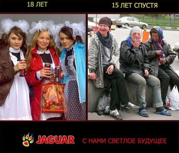 Воскресные легкие гармошки