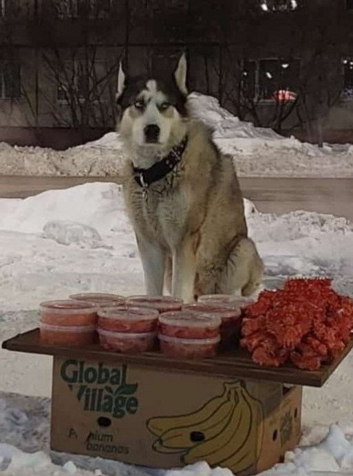 Греет бубенчики