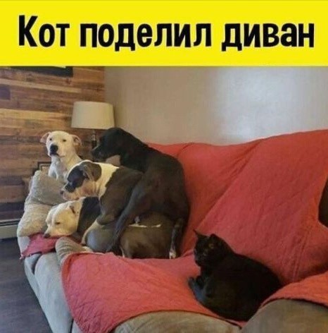 Так себе картинки 11.12.23