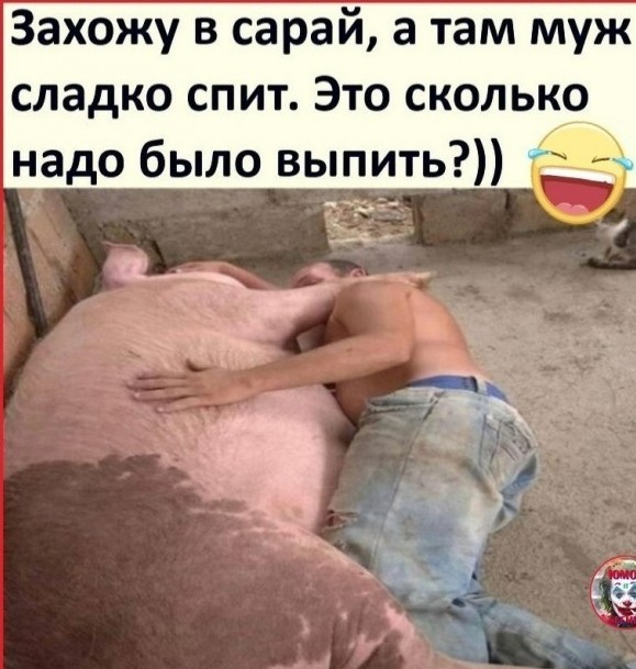 Немного пошлых картинок 16+ 21.08.24