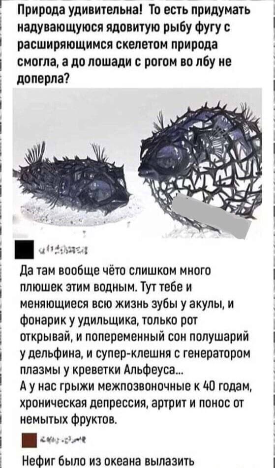 Картинки разные с надписями и без