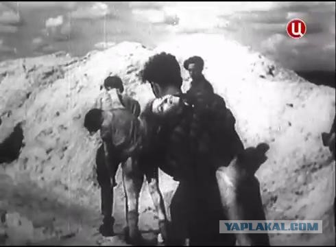 Кто и за что должен каяться?