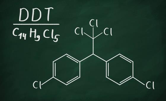 Трагическая любовь Юрия Шевчука, после которой родились главные хиты "ДДТ"