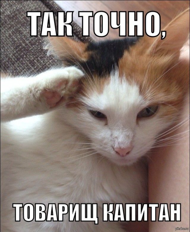 Так себе картинки 03.03.25