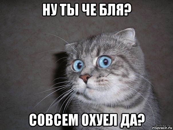 Как разжать челюсти собаке