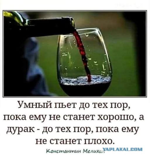 Трезвый пьяного не разумеет