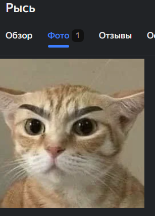 Пермский зоопарк