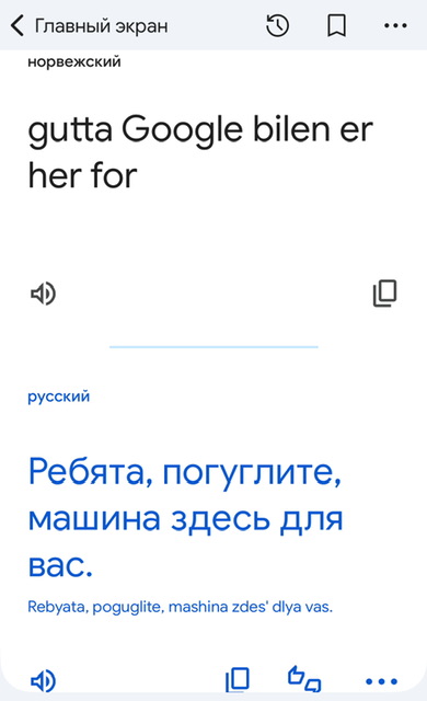 Гуглевская дичь решила проехать по Эстонии