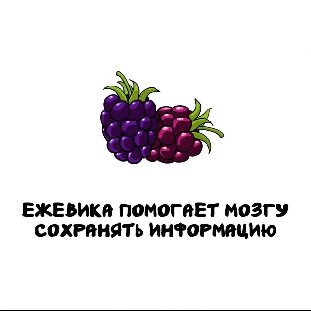 Интересные и короткие факты на все случаи жизни 05.01.26