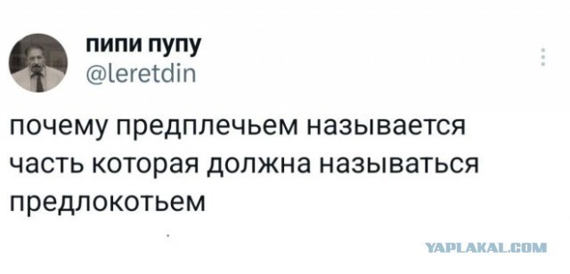 Потная гамсахурдия №1 (Картинки)