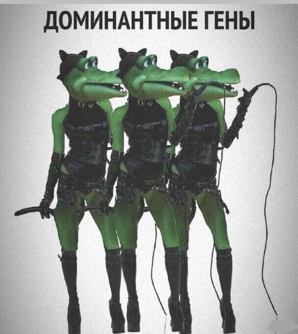Картинки для деградации 149 (разной степени свежести)