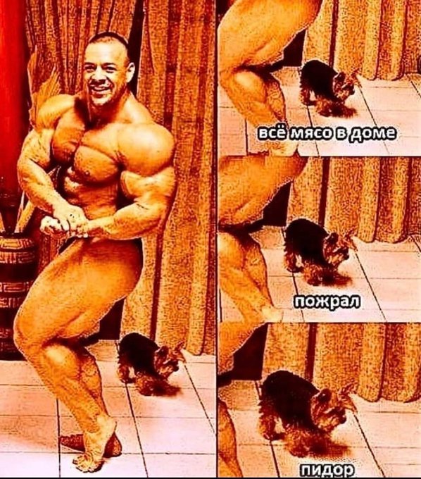Спорт головного мозга⁠⁠