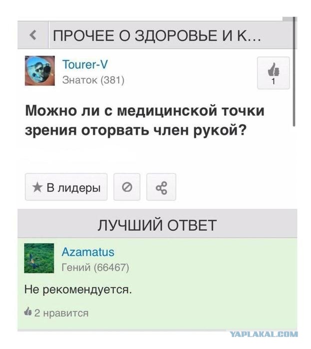 Картинки для деградации 154 (разной степени свежести)