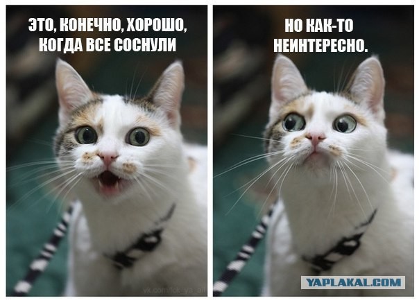 Путин и рыба