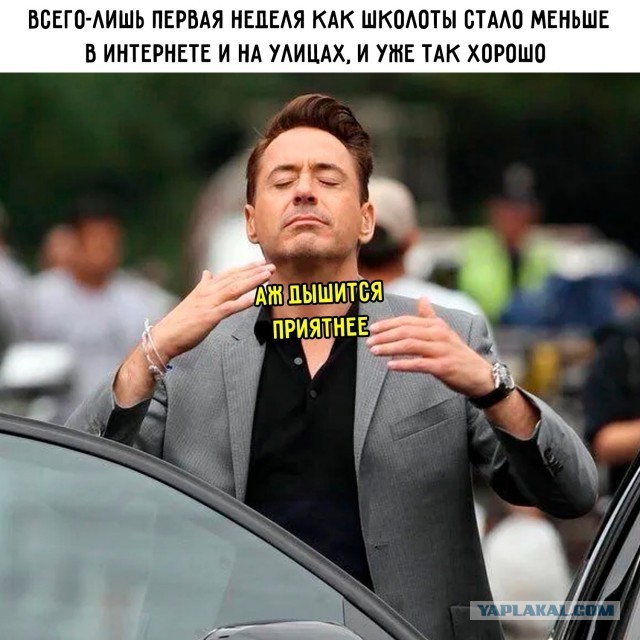 Картинки для деградации 273 (разной степени свежести)