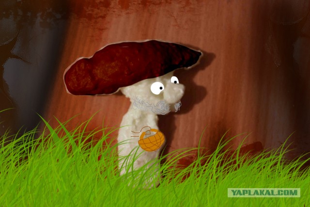 Пена…