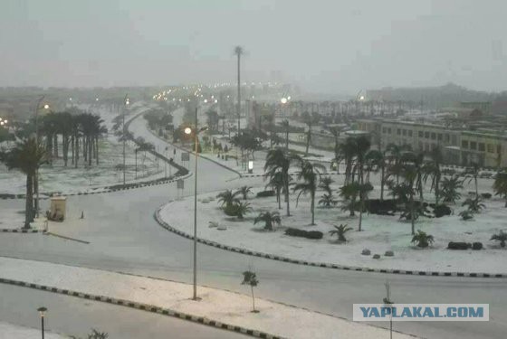 Первый снег в ... Каире