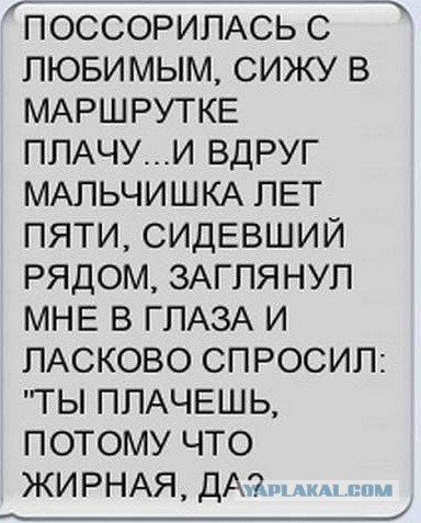 Смешные комментарии из социальных сетей (40 фото)