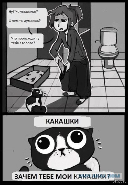 Суровый охранник туалета...