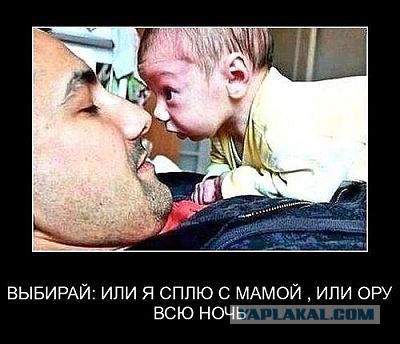 Картинки