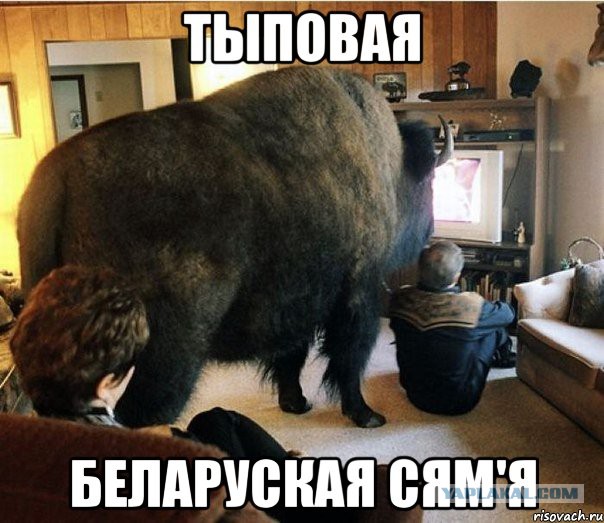 Просто несколько непонятных фотографий