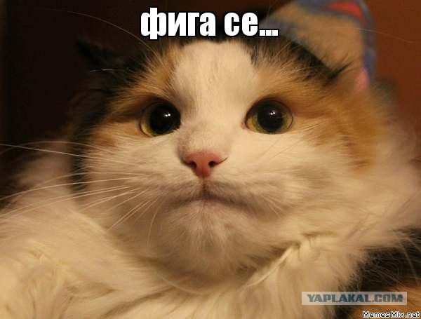 Кому юки отсыпать?