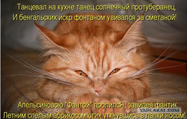 Импровизация, бачата