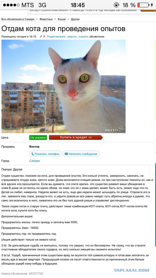 Продам кота и точка)