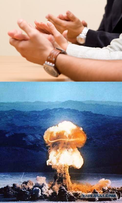 Восприятие кошек