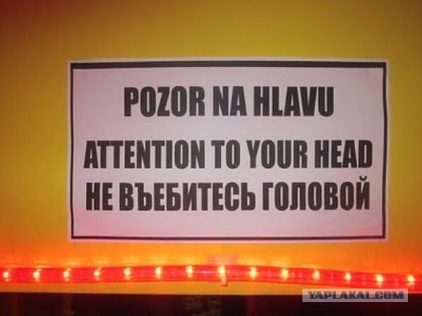 Весёлое из сети