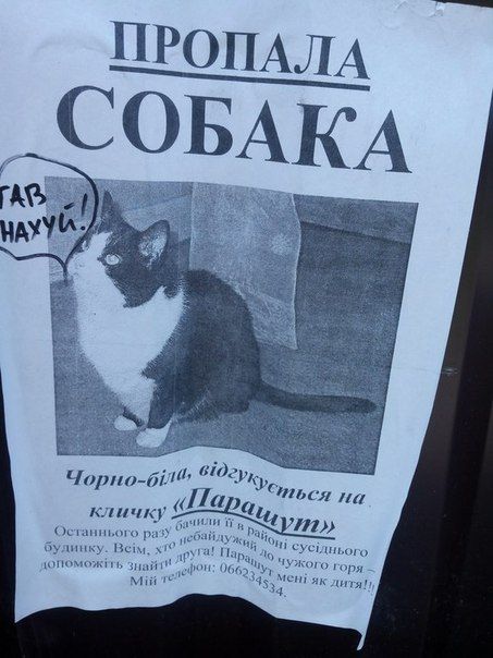 Народные объявления