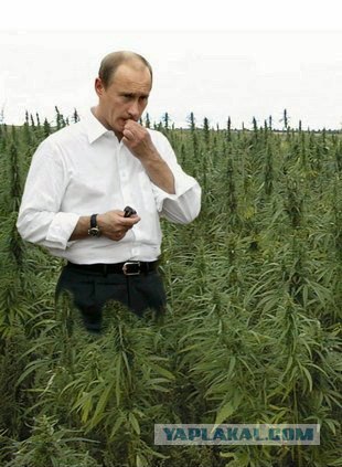 Детские стихи прошедшего столетия