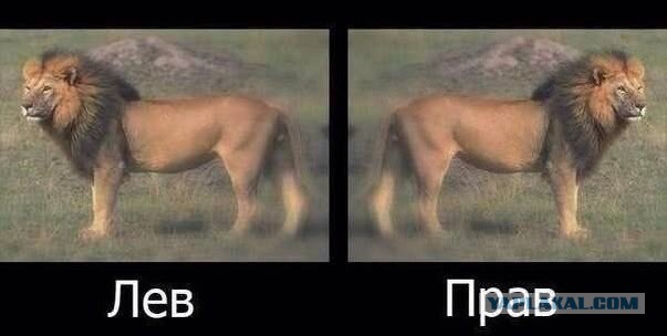 Су / ту