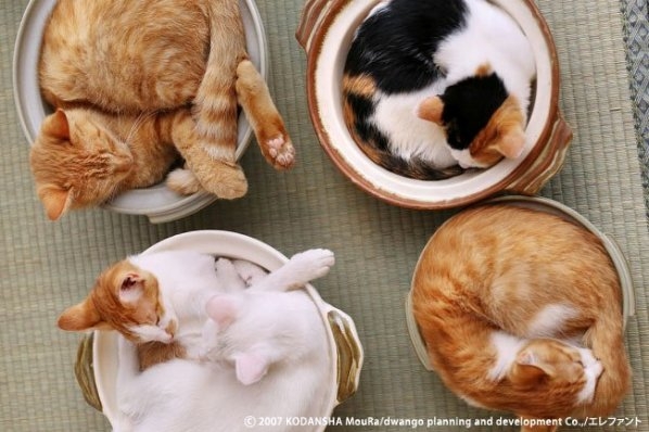 Фотоподборка очень удобных кастрюль