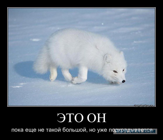 Предложение руки и сердца