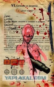 Чем только не занимаются на уроках