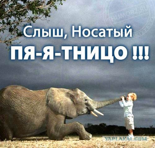 Подборка прикольных картинок из сети на 10 июля